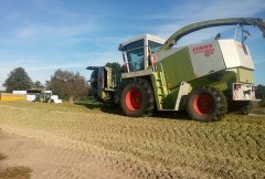 Claas Jaguar 860