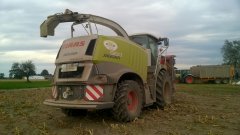 Claas Jaguar 960