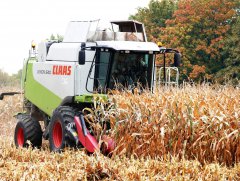 Claas Lexion 540 w kukurydzy