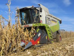 Claas Lexion 540 z przystawką Dominoni