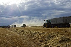 Claas Lexion 600TT & 2x ClaasLexion 600