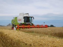 Claas Lexion 670+V900 Auto Contour