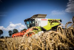 Claas Lexion 770 tt