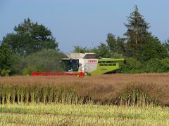 Claas Lexion 770
