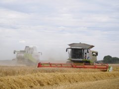 Claas Lexion 780 i Lexion 580