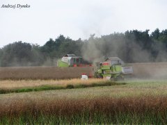 Claas Medion 310 & Dominator 108sl.