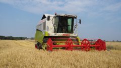 Claas Medion 310