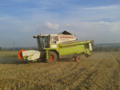 Claas medion 310