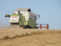 Claas Medion 310