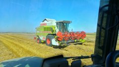 Claas Mega 204