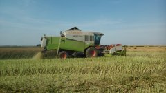 Claas Mega 360