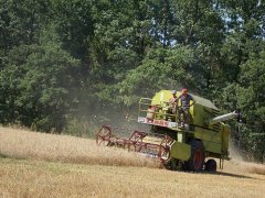 Claas Mercator 70