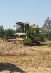 Claas Mercator 75