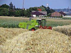 Claas Mercator 75