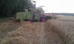 Claas Senator 4,20