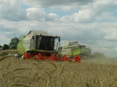 Claas Tucano i Lexion