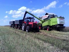 Claas