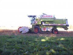 Claas