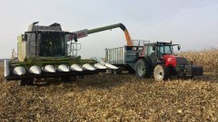 Class Lexion 650 &Valtra mezo 6550 hi-tech + Fliegl asw110
