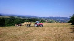 Massey Ferguson 698 i platforma & Ursus C-330 i TUR