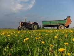 Ursus C-330 + Agromet Warfama T-032