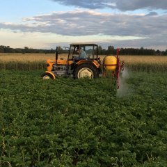 Ursus C-330 + opryskiwacz Biardzki