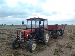 Ursus C-330 & Przyczepa Sanok