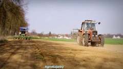 Ursus C-330 vs Massey Ferguson 699