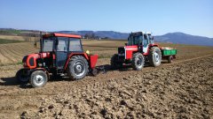 Ursus C-330M i Sadzarka & Massey Ferguson 698 i przyczepka