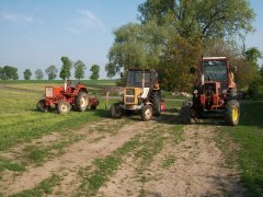 T25 & C3603P & MTZ 82