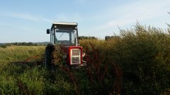 Ursus C-355 & Kosiarka Rotacyjna Famarol Słupsk