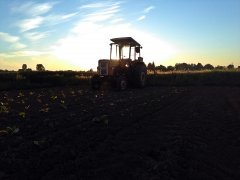 Ursus C-360-3P & Agro-Mechanika Kraj 400/12