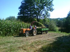 Ursus C-360 3P & PZ80 & D45