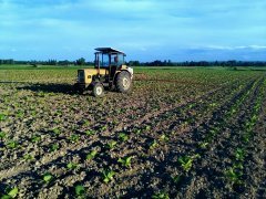 Ursus C-360-3P \u0026 Agro-Mechanika kraij 400/12