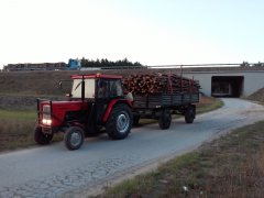 Ursus C-360 i Autosan D50