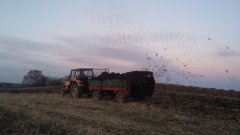 Ursus C-360 i Rozrzutnik