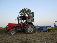 Ursus C-360 & Kopaczka Elewatorowa