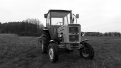 Ursus C-360 + Kultywator