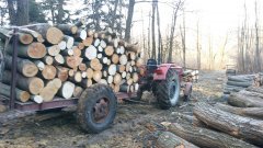 Ursus C-360 & Przyczepa