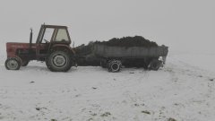 Ursus C-360 & Przyczepa