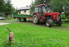 Ursus C-360 & Przyczepa