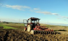 Ursus C-360 & Talerzówka