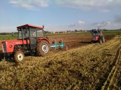 Ursus C-360 X2 & Lemken Opal 90 & Unia grudziądz