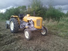 Ursus C-4011 & Przyczepka