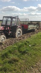 Ursus C360 & Rozrzutnik obornika