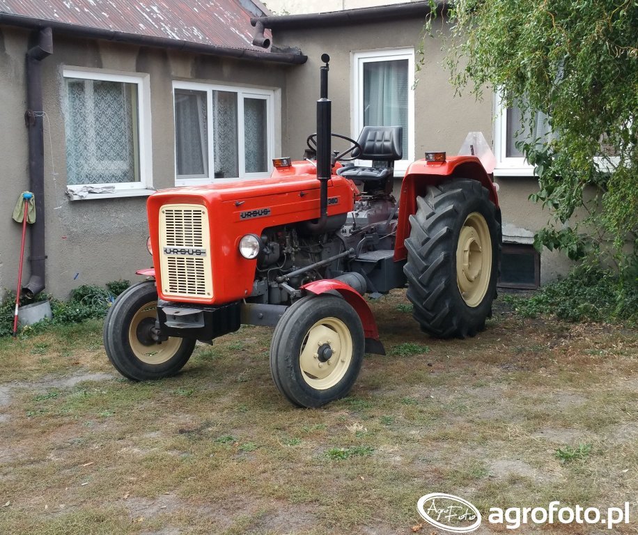Foto traktor Ursus C-360 #663966 - Galeria rolnicza agrofoto
