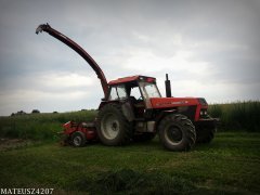 Ursus 1614 + Kemper