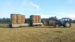 Ursus 904 z przyczepami