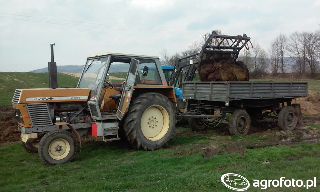 Foto Traktor Ursus C 385 571966 Galeria Rolnicza Agrofoto 8505