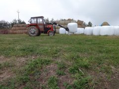 Ursus 3512 & tur & kiszonka z owsa